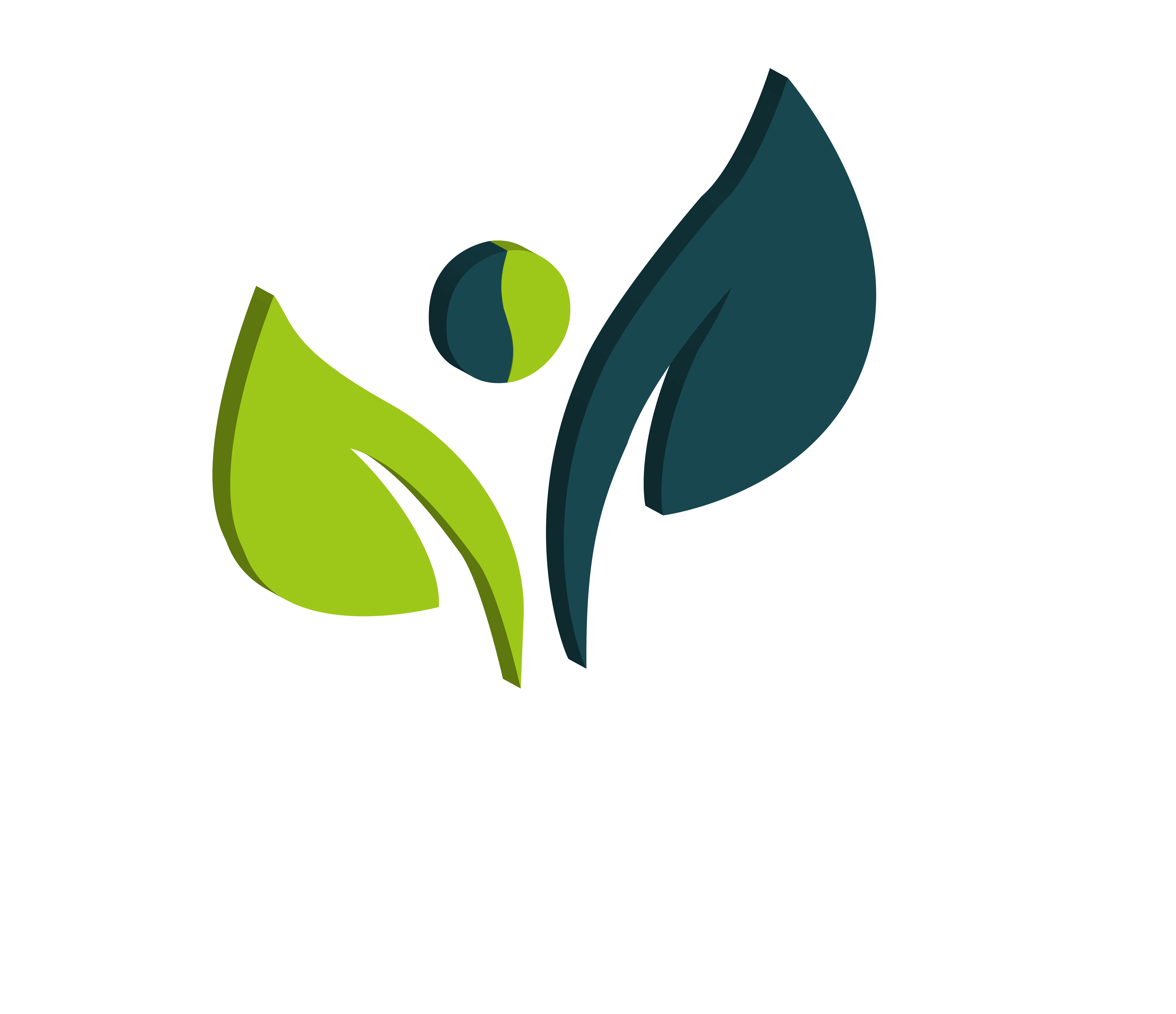 EcoParqueChile